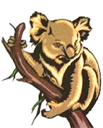 Koalah Contracting logo
